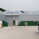 김종길농장 이미지