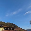 못안1길7 건너 | 2026 광양매화축제를 향한 여정/광양매화축제 오픈런 후기(하동-광양-구례여행)