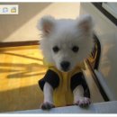 노원-상계-2800 이미지