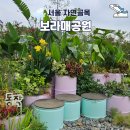 싱그러운 여름 플로리스트(5월) | 신대방동 보라매공원 서울국제정원박람회 싱그러운 여름날