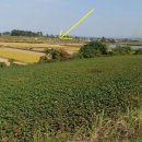 천만농장 이미지