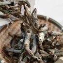 통영잔치국수 이미지