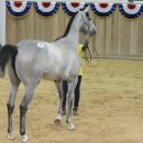 명성목장 이미지