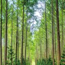 한국환경방역공사 이미지