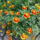 관악수내과의원 이미지