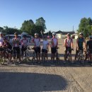 타이어챔피언 이미지