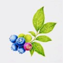 라탄 공예(야간) 이미지