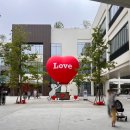 모녀청과 이미지