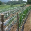 유암농장 이미지