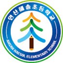 안산해솔초등학교 이미지