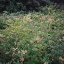 선원농장 이미지