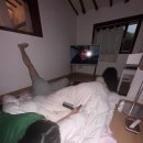 스테이보늬밤