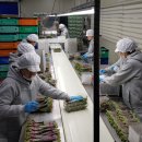 추부만인산농협 이미지