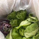 정진농장 이미지