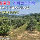 부사주가