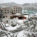 선산대로-35 Daum카페