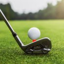 에프와이에스 골프 이미지