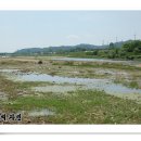 진목교 - 포천시 | 진목교