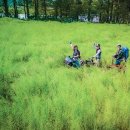 혜연농장 이미지