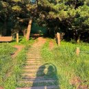 주)세화테크 | 9월 첫째 주 일상 (휴가 포함)