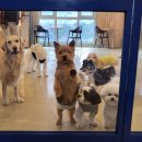 루트231 유치원 & 호텔 이미지