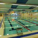 예체문화관 수달수영장 이미지