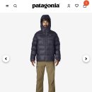 S-fit | 파타고니아 피츠로이 다운 맨즈 L 사이즈 구매후기! Patagonia Fit’s Roy Down Hoody