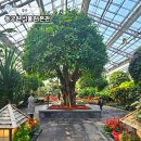 삼광중학교 본관(2층-동) | 경주 실내 가볼만한 곳 동궁원 식물원 본관 관람안내 및 이용후기