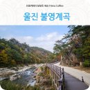 불영계곡2전망대 | 울진 불영사 불영계곡 산책하며 본 경북단풍 계곡