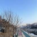 셀프헤어컷(주말) | 24년 1월 5주차와 2월 1주차 그 사이