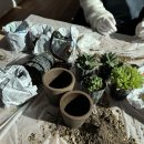 채움농장2 이미지