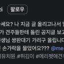 메리펫 애견유치원 이미지