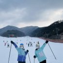 에이스의류 이미지