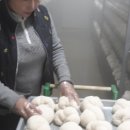 신복농장 이미지