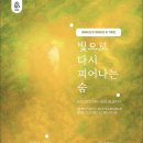 빛기획