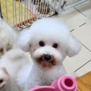 울엄마간식 이미지