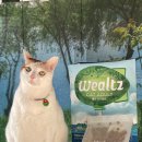 송이캣 | 육류원료 80% 이상 함유된 프리미엄 고양이 사료 [웰츠 캣 어덜트]