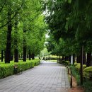 부산시민공원 이미지