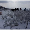 하얀천국 이미지