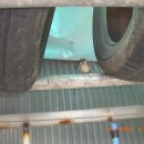 동아카서비스 이미지