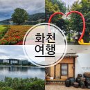 화천박물관 | 강원도 화천 가볼만한곳 가을 여행지 추천 붕어섬 사랑나무