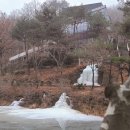 꿈꾸는나무 이미지