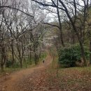 두송반도 이미지