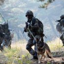 육군 군견훈련소 이미지