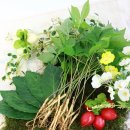 윤희네농장 이미지