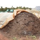 신선농장 이미지