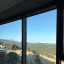 델피노 I | 고성 소노펠리치 델피노 I 골드스위트 파노라마 클린룸 후기