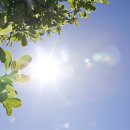 이섭대천로 8 이미지