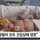 좋은세상자연병원 국민일보