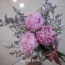 청풍플라워